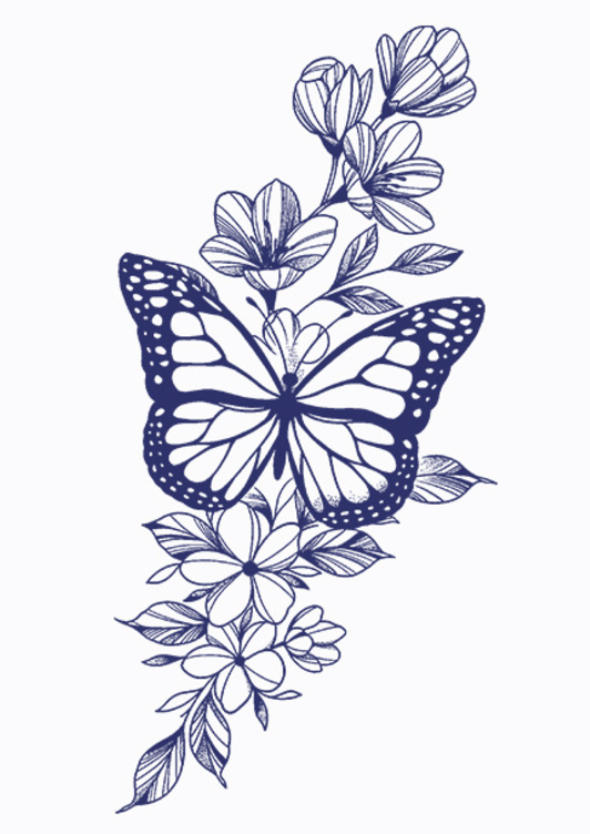 Butterfly 1