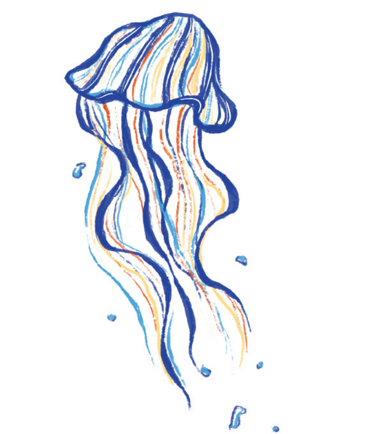 lovely jellyfish 1